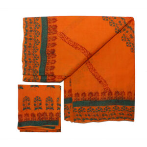 Asha Pallu Orange Saree