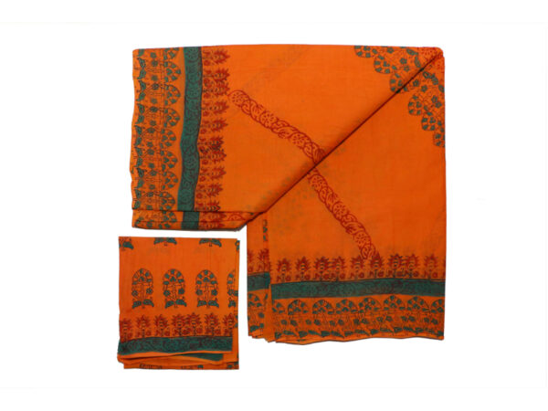 Asha Pallu Orange Saree
