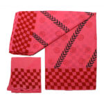 Asha Pallu Pink Saree