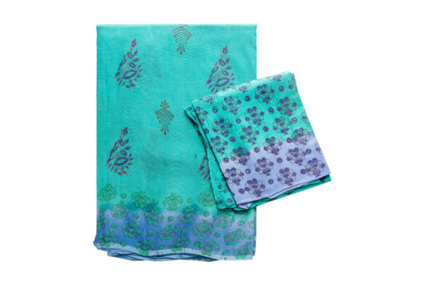 Super Net C-Green And Bule Saree